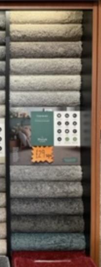 Daintree £29 SQM